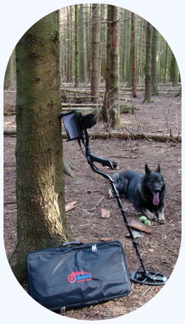 Nokta Fors Core in the woods